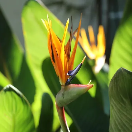 Gasthof Pouso Dos Anjos